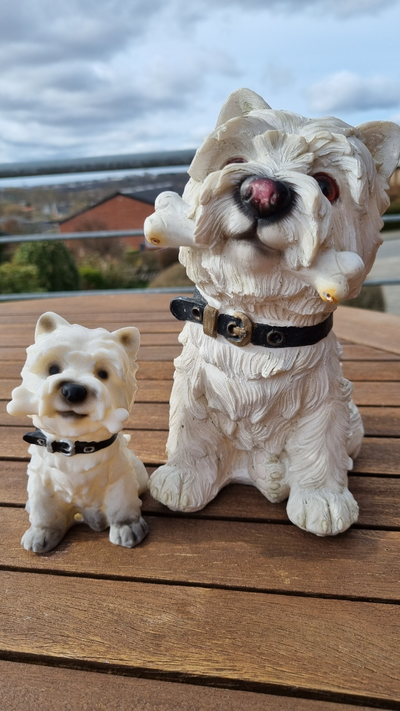 chien os by germann ménage animaux domestiques petit 3d analyse coton tulear 3d print model - Mito3D