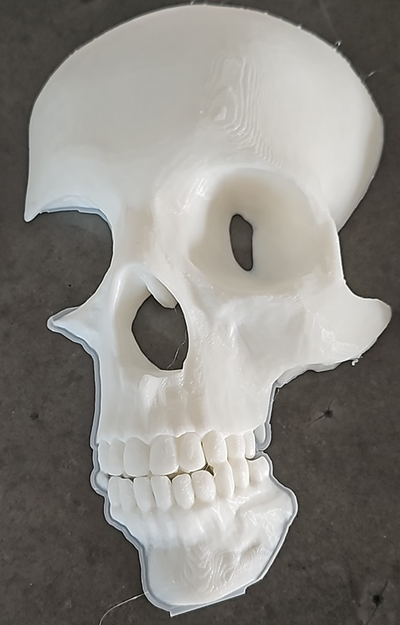 parete cranio arredamento by luismt1982 arte modelli ossatura 3d 3d print model - Mito3D