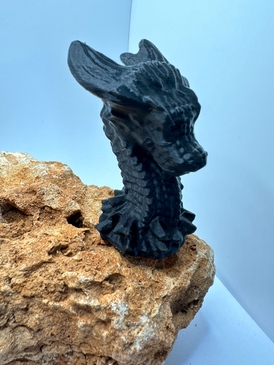 drachen büste kopf by druckerei kunst modelle 3d drucken buste drachenbüste busto de 3d print model - Mito3D