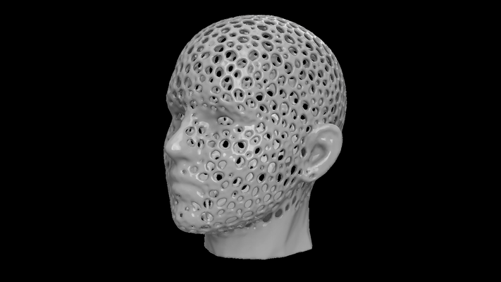 humano cabeça voronoi by mikeproch educação biologia decoração 3d print model - Mito3D