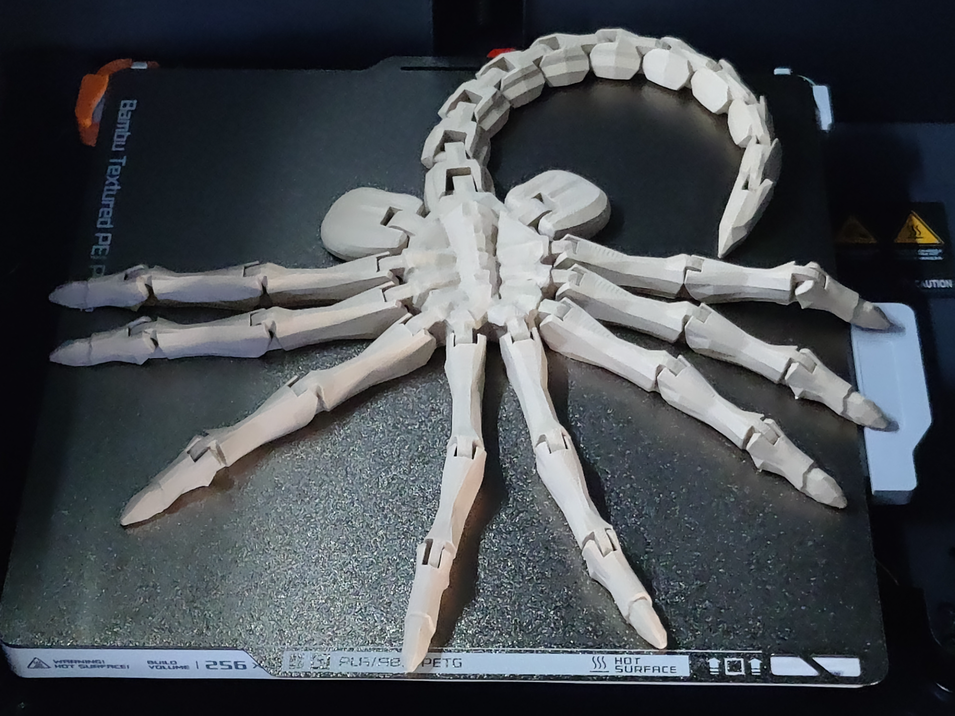 flessibile facehugger più grande remixato by chünster giocattoli giochi alieno stampa in posto spaventoso scifi agitarsi articolato film xenomorfo 3D print model - Mito3D