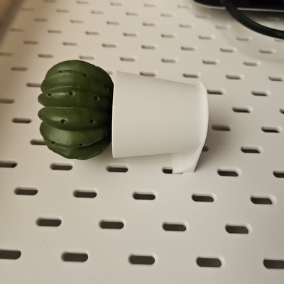 skadis cacto exibição estante by catarina chupeta casa escritório ikea 3d print model - Mito3D