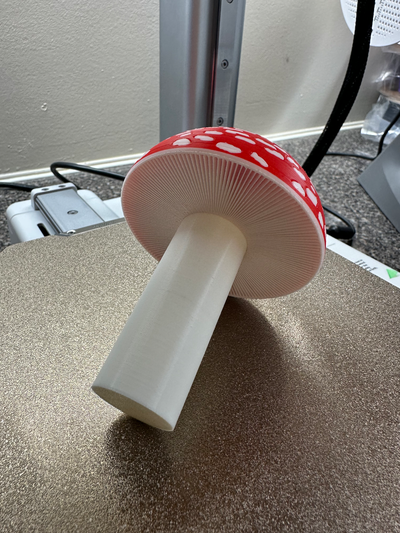 muscaria mushroom fly agaric by tipofthecap education biology fungus fungi 3d print model - Mito3D