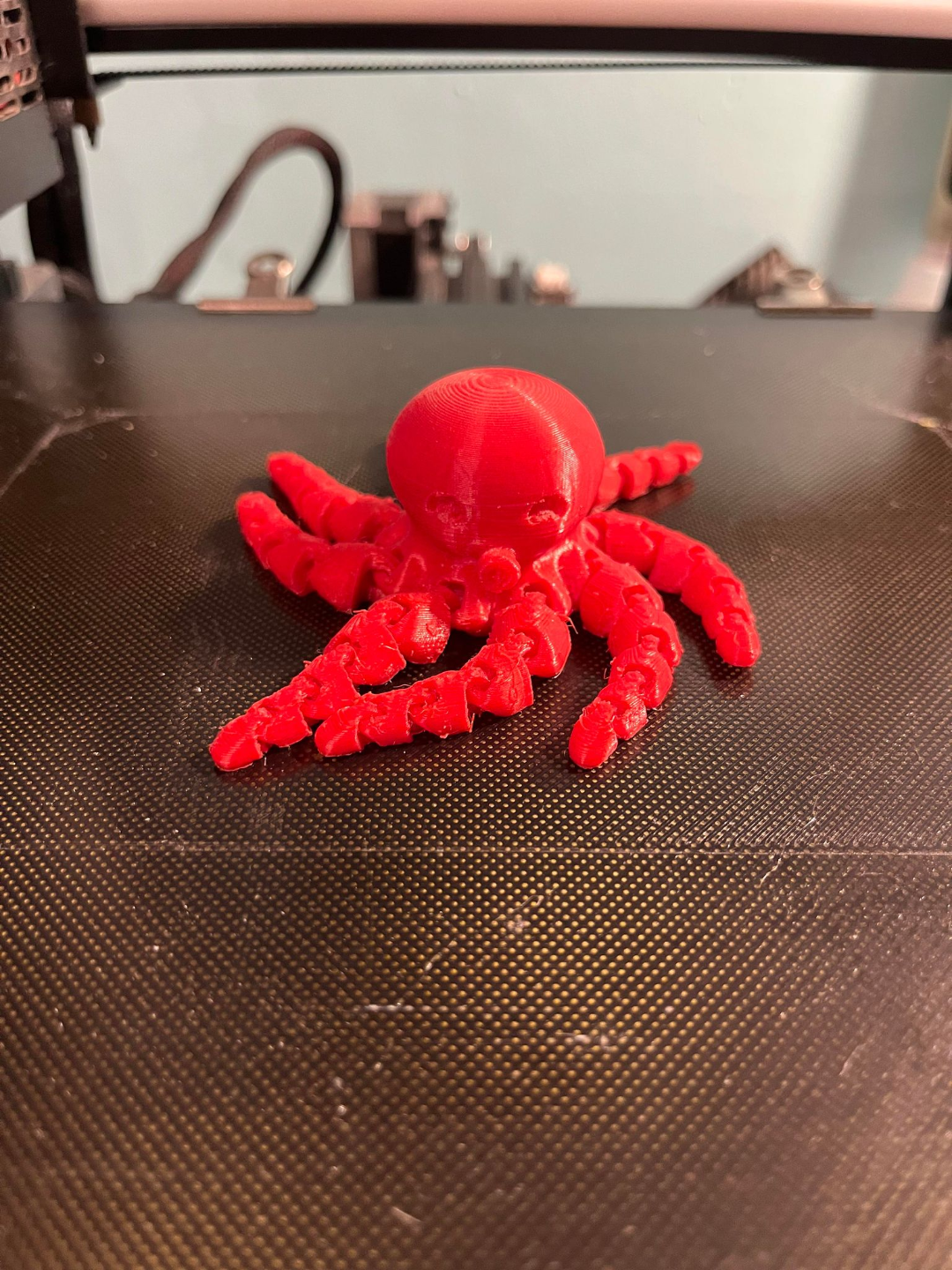 oktupus sprechen by lucie 3d haushalt haustiere 3D print model - Mito3D