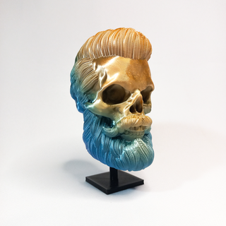 sakal kafatası toplamak n 1 by rogi stüdyolar sanat modeller oyuncak sakallı 3d print model - Mito3D