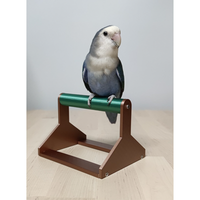 bird stand desk by ruiraptorchannel household pets 3d print model - Mito3D
