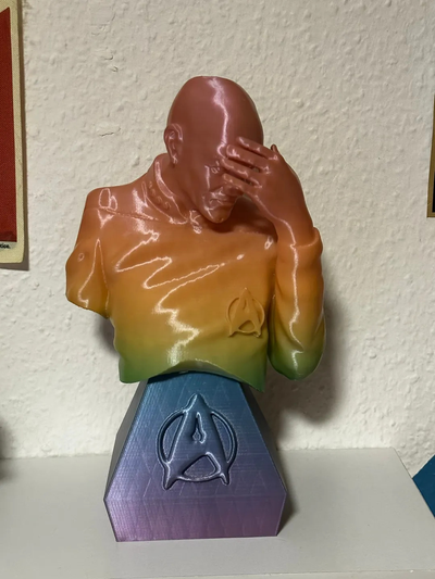 facepalm picard by teambreak art sculptures star trek bust sculpture 3d print model - Mito3D