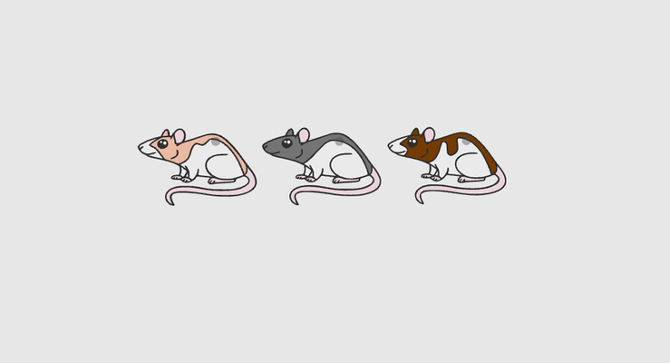 cute rat keychains set of 3 by dub1ns art 2d keychain kechains pet pets animal animals 3d print model - Mito3D