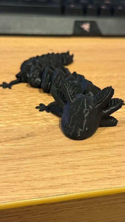 articolato axolotl by titan3dprintingau arte sculture agitarsi animale creatura acqua domestico freddo stampa anfibio giocattolo 3d print model - Mito3D