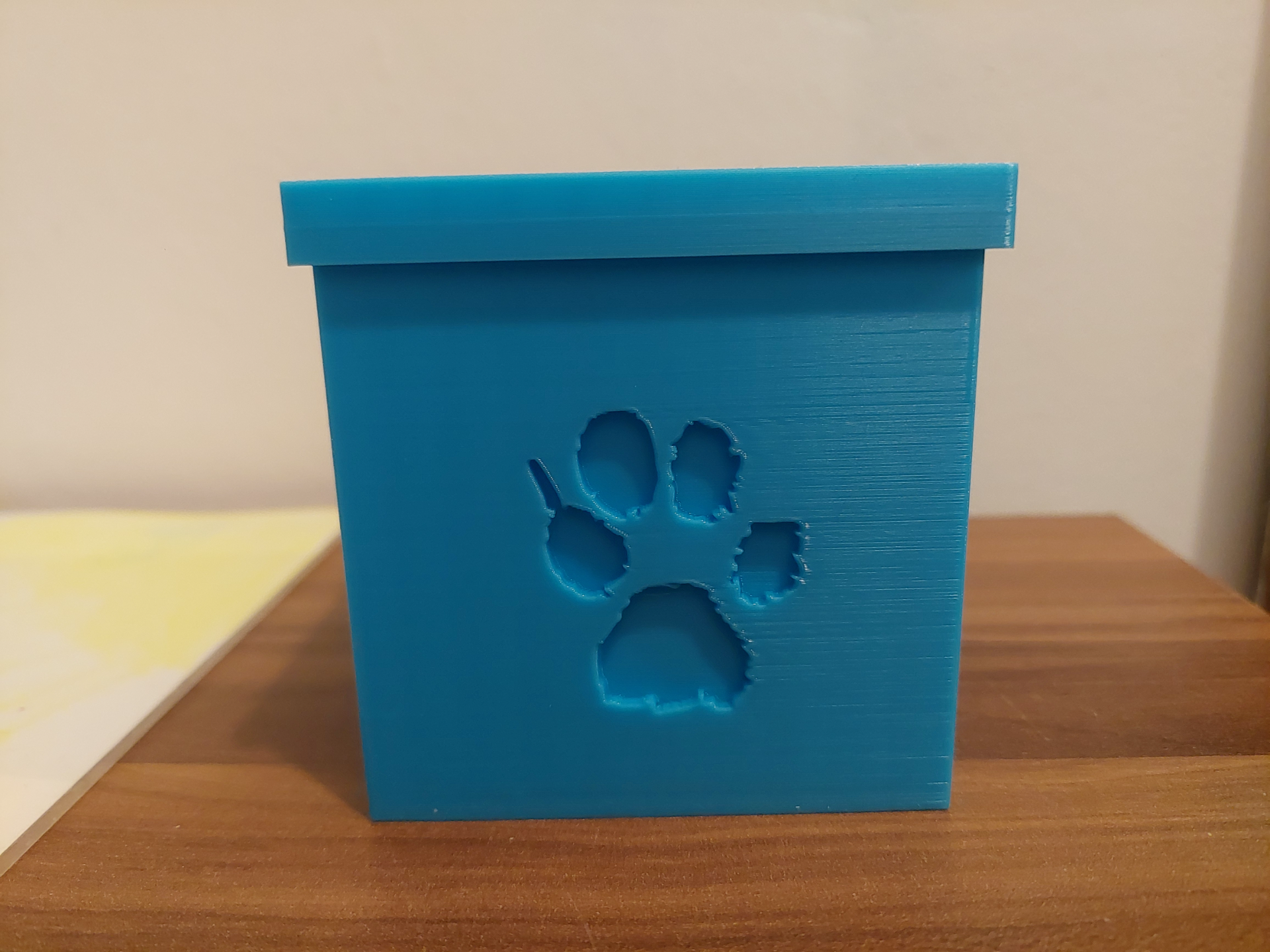 katzen pfote box by finleymeinengel haushalt haus modelle 3D print model - Mito3D