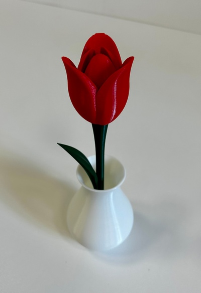 tulip flower stem stand & vase remixed by sziszi household decor decoration 3d print model - Mito3D