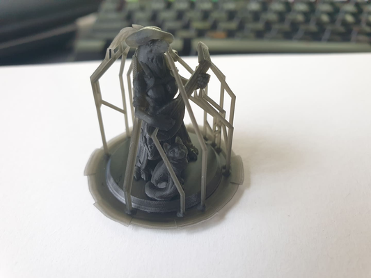 paon barde dnd by lukas saru art modèles figure jouer rôle 3d print model - Mito3D