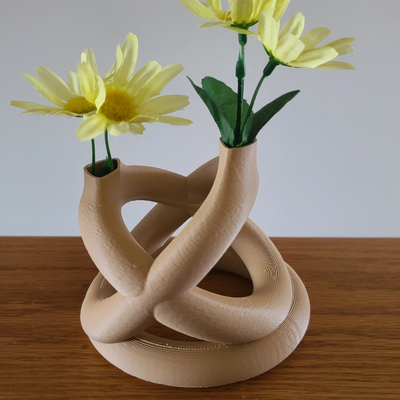 pétala entrelaçar moderno vaso by fabricantes misture casa decoração caseira decorações decorativo vasos flores único modernvase entrelaçado pétalas 3d print model - Mito3D