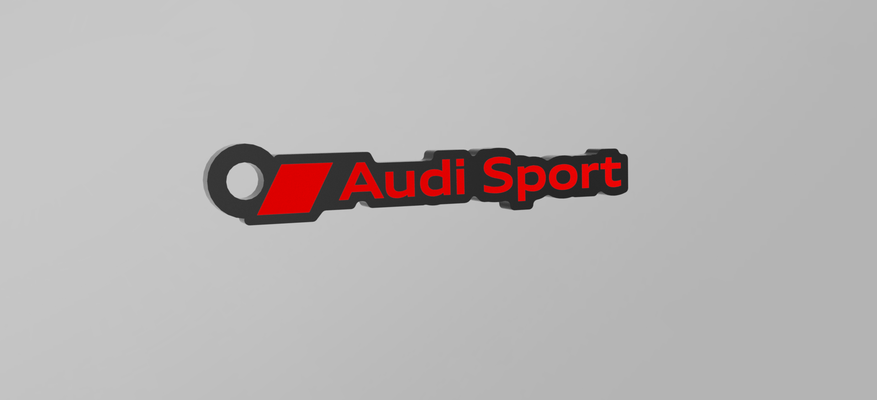 audi quattro porte clés by tgc 3d art panneaux logos audisport 3d print model - Mito3D