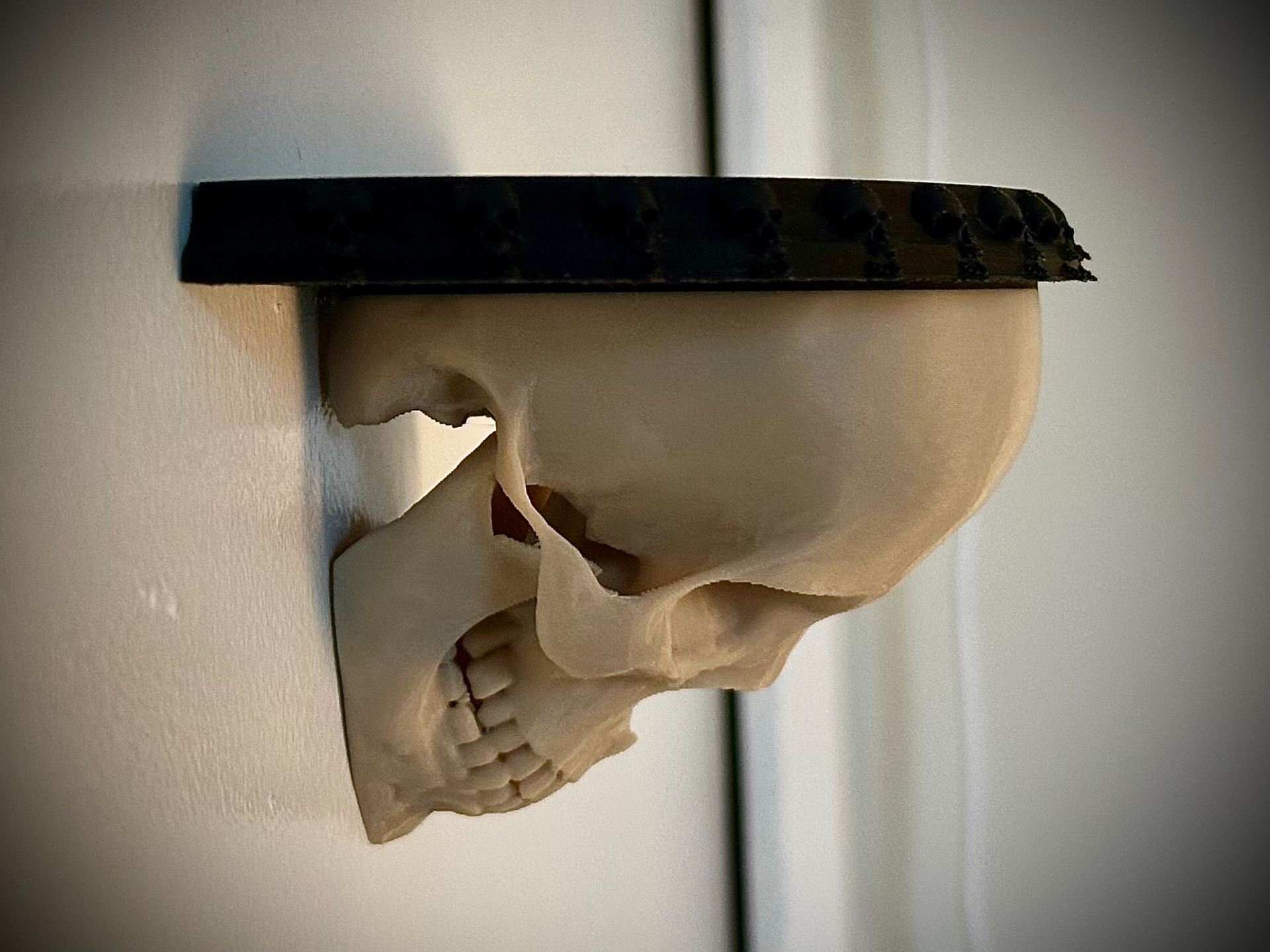 human skull shelf by whatishebuildinginthere household decor goth macabre haunted horror anatomy creepy oddities emo gothic victorian 3D print model - Mito3D