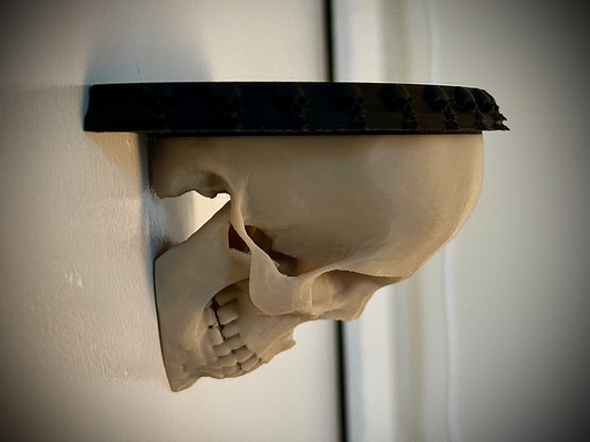 umano cranio mensola by whatishebuildinginthere domestico arredamento goth macabro infestato orrore anatomia raccapricciante stranezze emo gotico vittoriano 3d print model - Mito3D