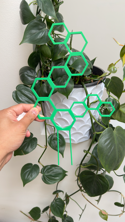 hex trellis plant support printed dowel remixed by kunday household garden clips plantsupport plantsupports 3d print model - Mito3D