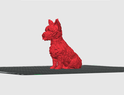 yorkshire köpek model by terabit minyatürler hayvanlar baston heykel statua modello köpekler 3d print model - Mito3D