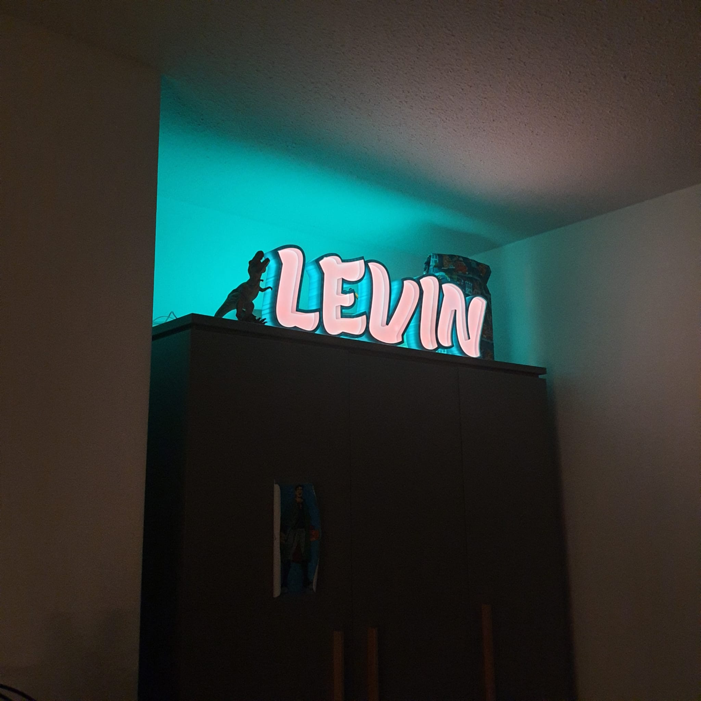 levin led lámpara nombre by anacardo 3d impresora accesorios 3D print model - Mito3D