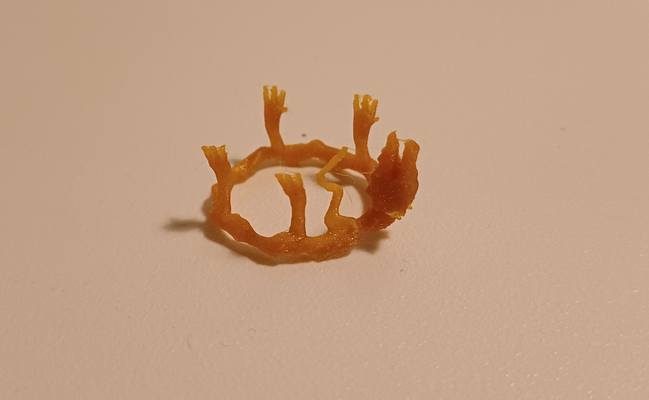 esculpido chino continuar inspirado anillo by megatolusalen moda anillos oro fuego monstruo fantasía criatura regalo hermana amor niña ciencia ficción cola volar madre padre familia año mamá china antiguo novia valentin joyería 3d print model - Mito3D