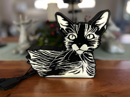 lyoki cat inspired led lightbox by glenngri art signs & logos lightbox 3d print model - Mito3D