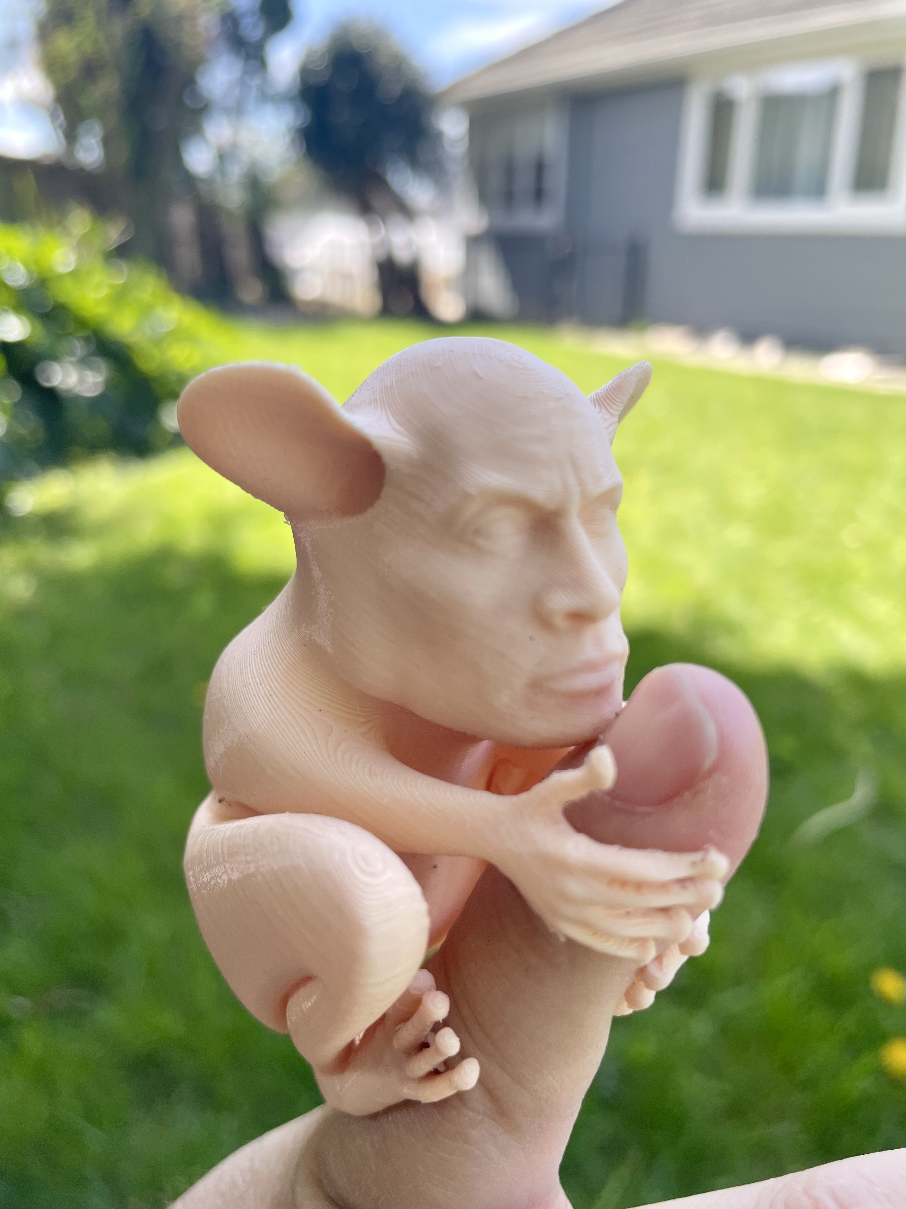 felsen tarsier koboldmaki neu gemischt by ik3digital kunst skulpturen haustier ring tier komisch affe vermanschen stein beuteltier dwayne the rock johnson lemurock lemur 3D print model - Mito3D