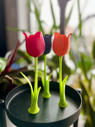 lovely tulip stem blooming perfection by peterow household decor vase plant flower decoration gift woman valentines plants nice flowervase flowers decorations realistic homedecor beautiful decorative homedecoration boquet ulipa tulips womangift valentiensday 3d print model - Mito3D