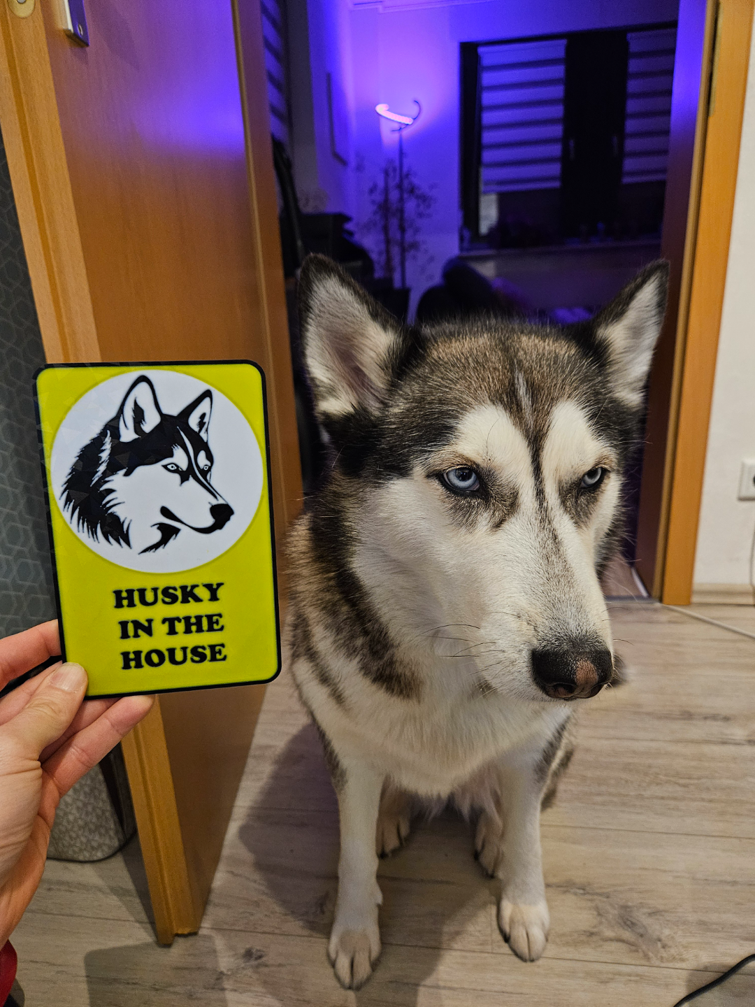 avvertimento cartello husky in casa warnschild by giocatore numero 7 arte segni loghi 2d segnale pericolo samelayer multicolore ams parete siberiano cane amanti dei cani attenzione 3D print model - Mito3D