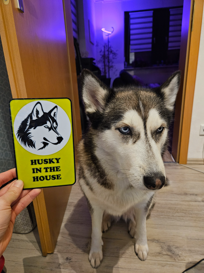 warnung zeichen heiser haus warnschild by spieler nummer 7 kunst logos 2d warnschild gleiche schicht mehrfarbig ams mauer sibirisch hund hundeliebhaber nehmen vorsicht 3d print model - Mito3D