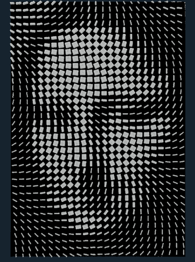 mona lisa illusion art hueforge by luca2210 generative 3d model & lithophane leonardo da vinci leonardodavinci davinci 3d print model - Mito3D