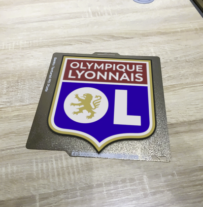 ol olímpica lyonnais 3d caixa luz by rtrigo3d casa decoração pé futebol bola lampe logotipo frança 3d print model - Mito3D