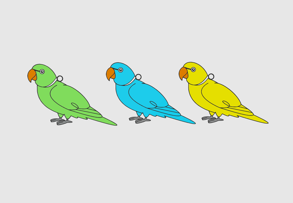 indiano ringneck papagaio chaveiros by dub1ns arte 2d pássaro animal animais estimação chaveiro 3d print model - Mito3D