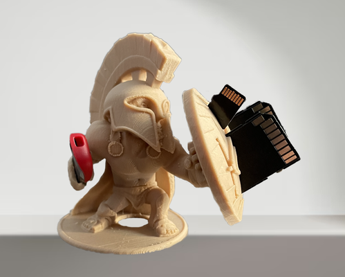 spartalı sd kart kulp destek by qwiktune ev halkı ofis organizatör hafıza kartı usb savaşçı 3d print model - Mito3D