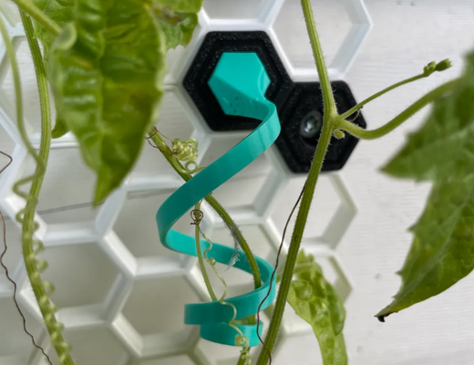 souple plante crochet by ménage jardin rayon miel jardinage mur stockage nid 39 abeille hsw 3d print model - Mito3D