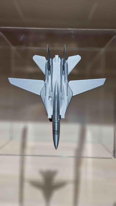 f14 kater kleben erforderlich neu gemischt by anrufe hobby diy flugzeug militär marine luftwaffe ziehen flügel f15 f16 top gun luftfahrt mavrick 3d print model - Mito3D