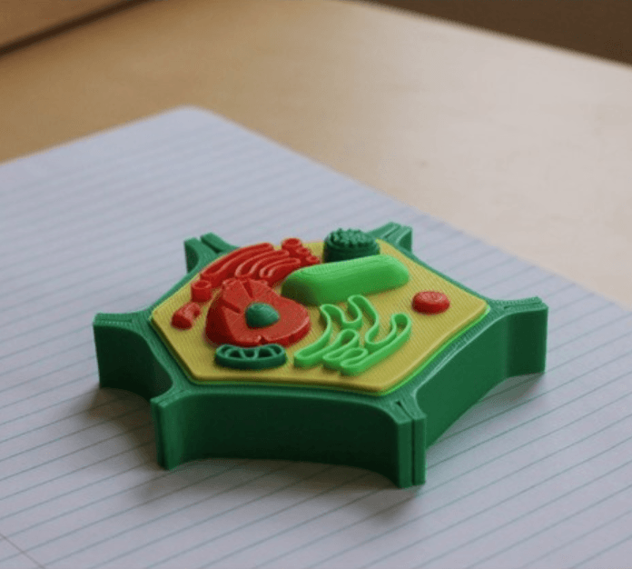mini cellule conte multicolore partagé by olivier3dprint éducation biologie 3D print model - Mito3D