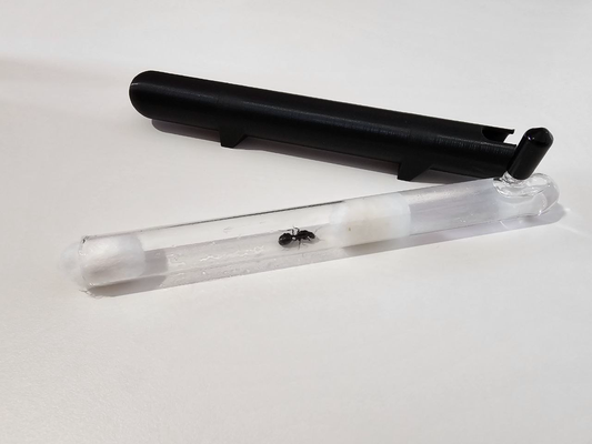 teste tubo cobrir bainha rainha formiga ninho by hectorri casa animais estimação 3d print model - Mito3D