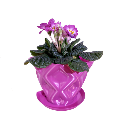 parede plantador by chefe casa jardim flor crescer 3d print model - Mito3D