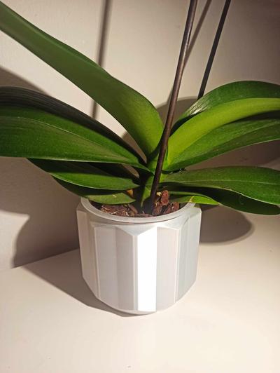 orchidea pianta pentola by smol print domestico arredamento vaso 3dprintedorchidpot fioriera piantatrice orchidee home decor decorazioni per casa elegante moderno arte moderna introorplanter funzionale unico design 3dart 3d 3dprint 3dprintpot interni decorazione d 39 fai giardino giardinaggio strumenti utensili homeaccents accessori domestici vaseart vasemode spirale spiralvasemode bianca brillante seta filamento viola estetista estetico vivere interno 3d print model - Mito3D