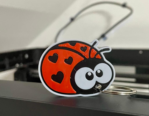 ladybug keychain by miham 3d art models color cute animal bug key chain ring tag ams quick print quickprint easy fashion 3d print model - Mito3D