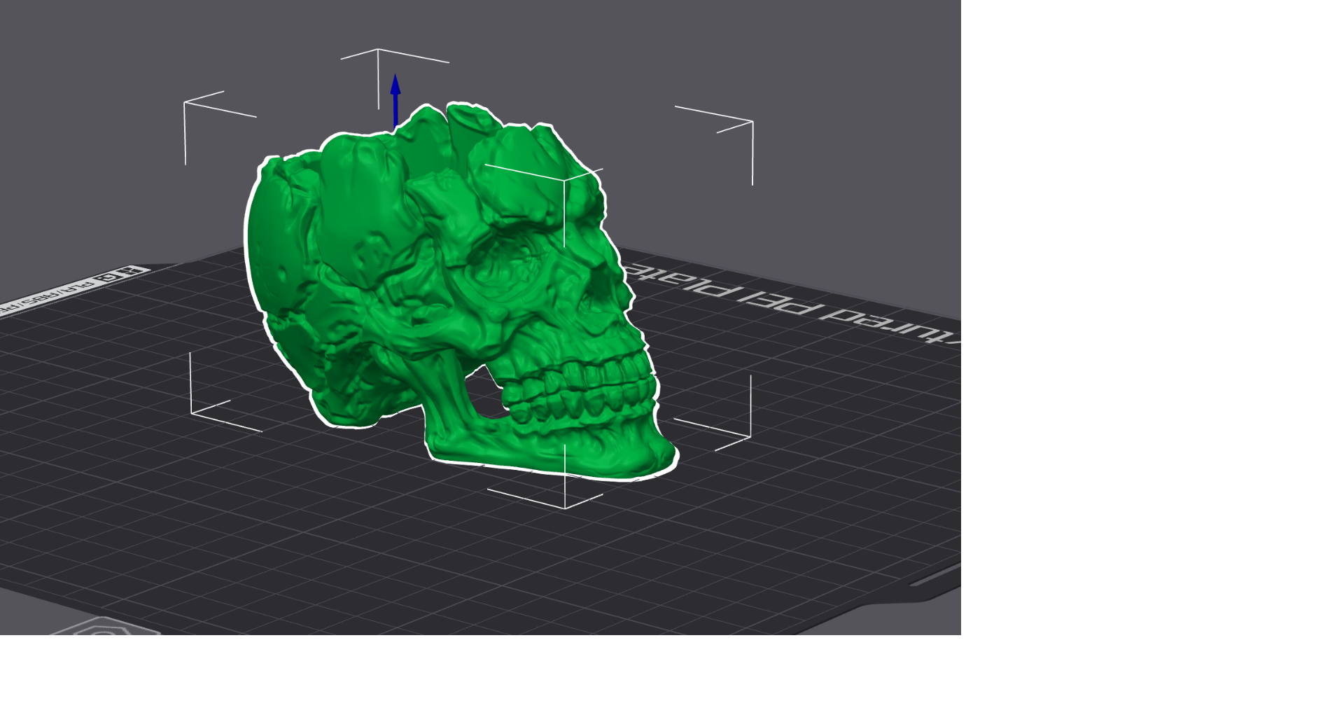 detallado ahuecado cráneo abierto by 3d tdah miniaturas personas esqueleto huesos dientes cabeza cuerpo humano hueco cerebro 3D print model - Mito3D