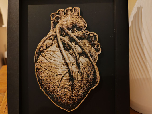 hueforge-heart-leonardo da vinci by camillabertrand household decor valentine heart hueforge 3d print model - Mito3D