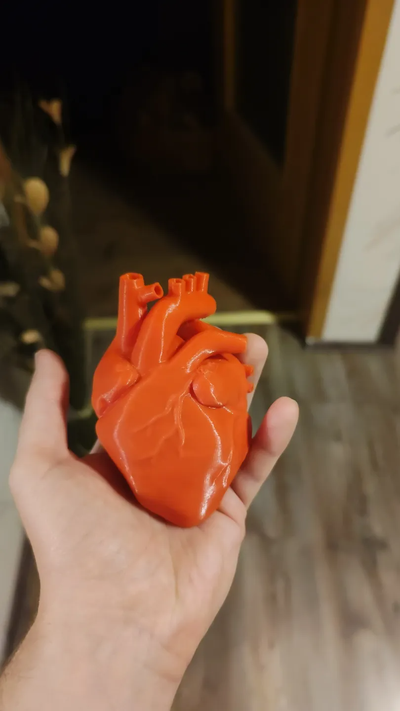 human heart by pzi 3d education biology anatomy body anatomical anatomic parts 3d print model - Mito3D