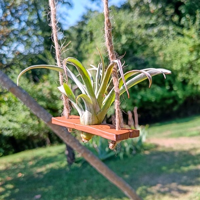 air plant swing support by laura12 household garden holder airplant plank 3d print model - Mito3D