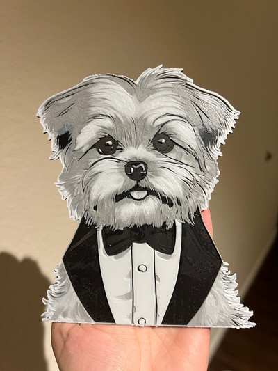 sgarbato in tux by signor pane ammuffito generativo 3d modello fucina cappelli litofania yorkie shih tzu arte 3d print model - Mito3D