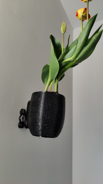 hsw ez-v1 wall mount hendricksdesign planter remixed by royeiror tools organizers hswinsert hswmount support wallmount hexagon 3d print model - Mito3D