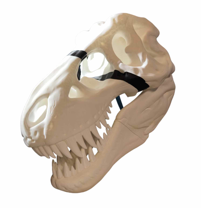 t rex cranio multiparts 250 scala by userfromhell666 arte sculture multi remixare luban scultura tirannosauro rex p1p x1c museo trex dino dinosauro giurassico parco 3d print model - Mito3D