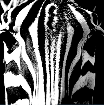 zebra 2 einfach atemberaubend hutschmiede by raub generativ 3d modell lithophan farbton schmiede kunst mauer wandkunst dekoration dekorativ deko bild zoo wild tier wildes 3d print model - Mito3D