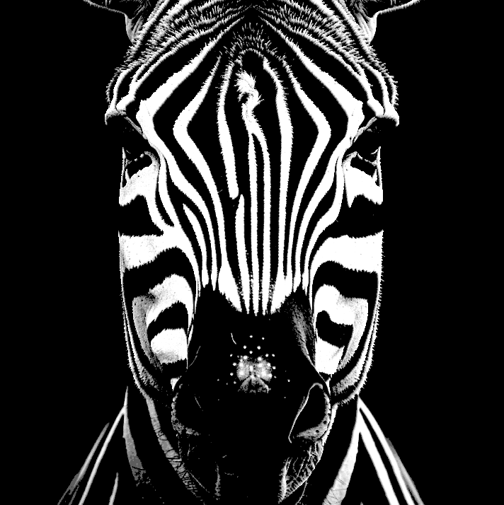 zebra 3 einfach hutschmiede by raub generativ 3d modell lithophan farbton schmiede bild zoo tier wild wildes deko dekoration dekorativ mauer kunst wandkunst schwarz weiß schwarz weiß 3D print model - Mito3D