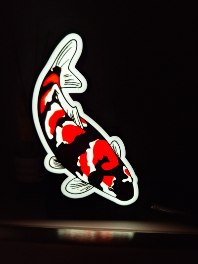 koi boite lumière by christoph art modèles poisson carpe pêche 3d print model - Mito3D